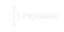 Paycasso Logo